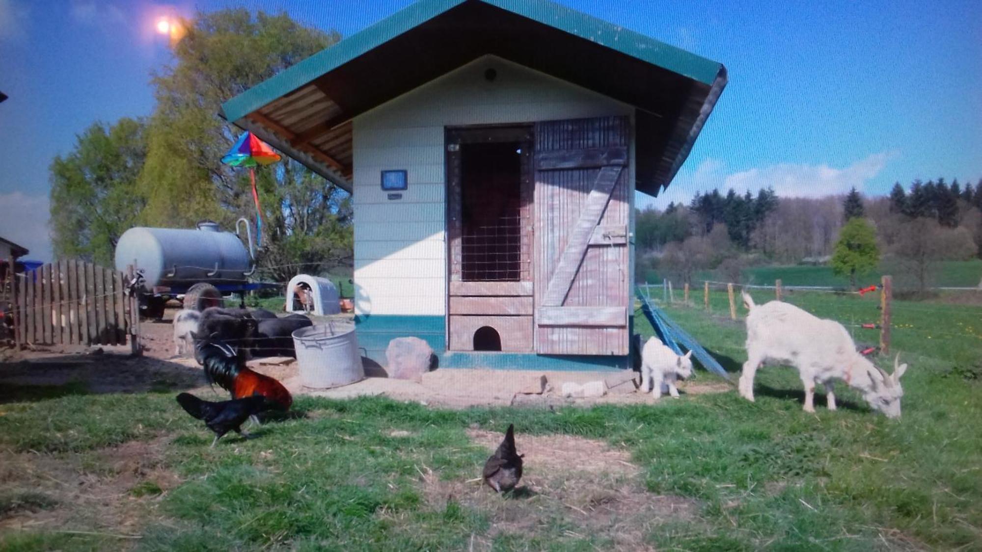 Kleine Einzigartige Auf Dem Bauernhof, Direkt In Der Mit Blick Auf Schloss Apartment *