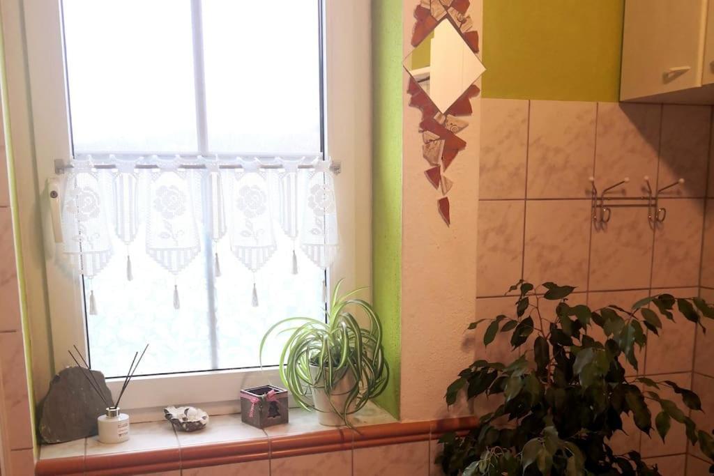 Kleine Einzigartige Auf Dem Bauernhof, Direkt In Der Mit Blick Auf Schloss Apartment