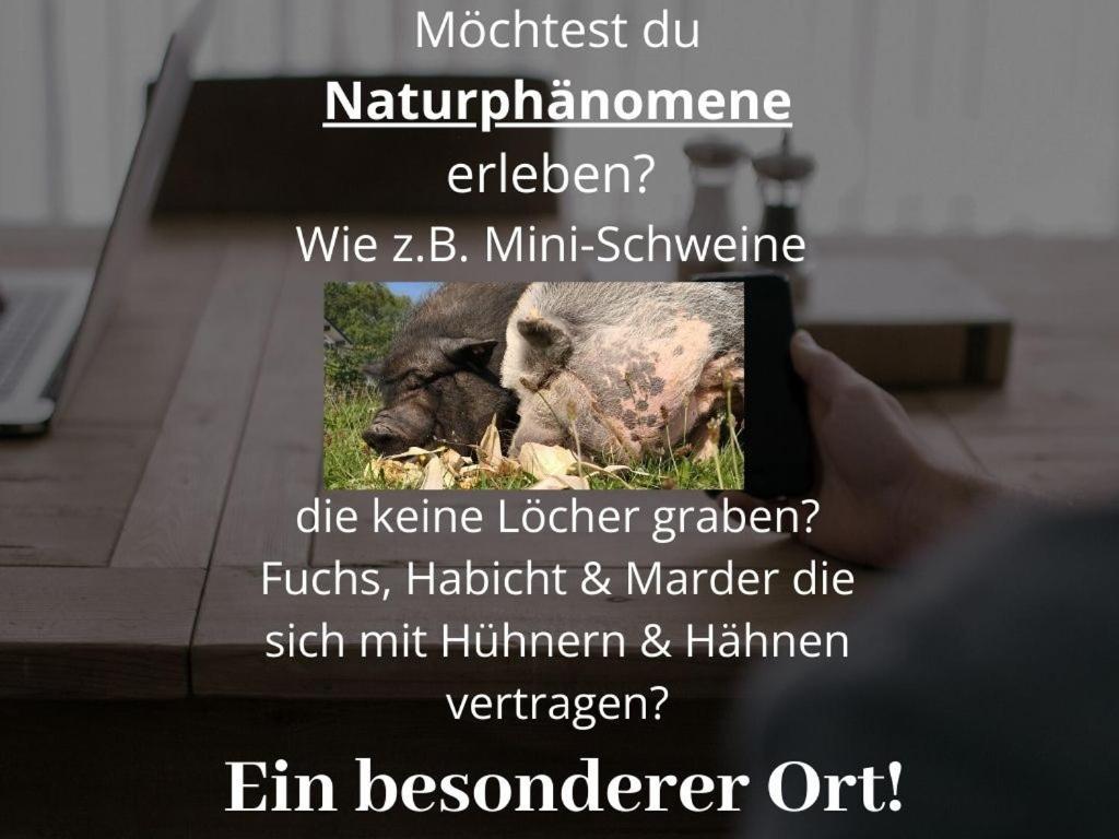 Apartment Kleine Einzigartige Auf Dem Bauernhof, Direkt In Der Mit Blick Auf Schloss *